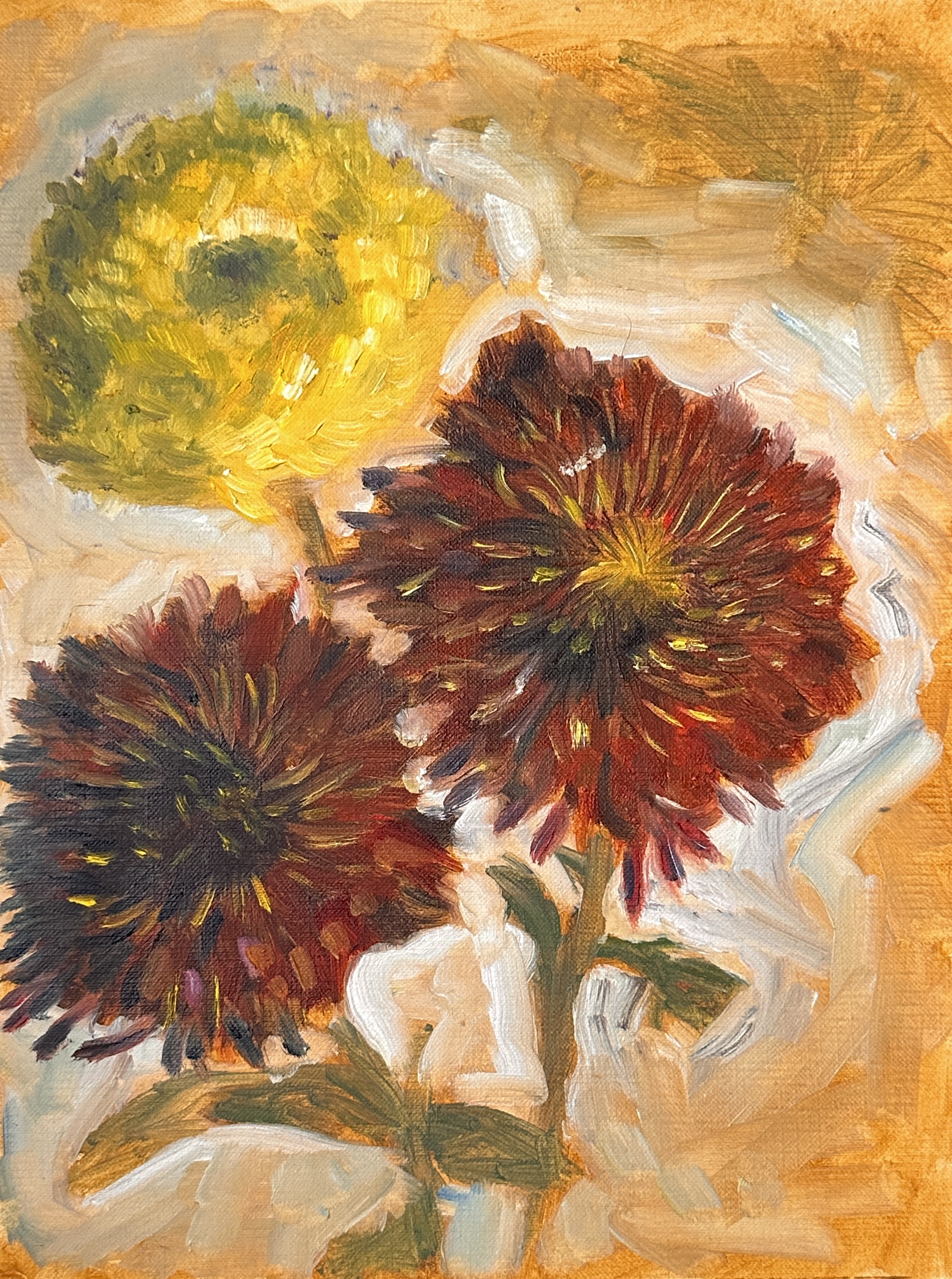 Flower Study 1